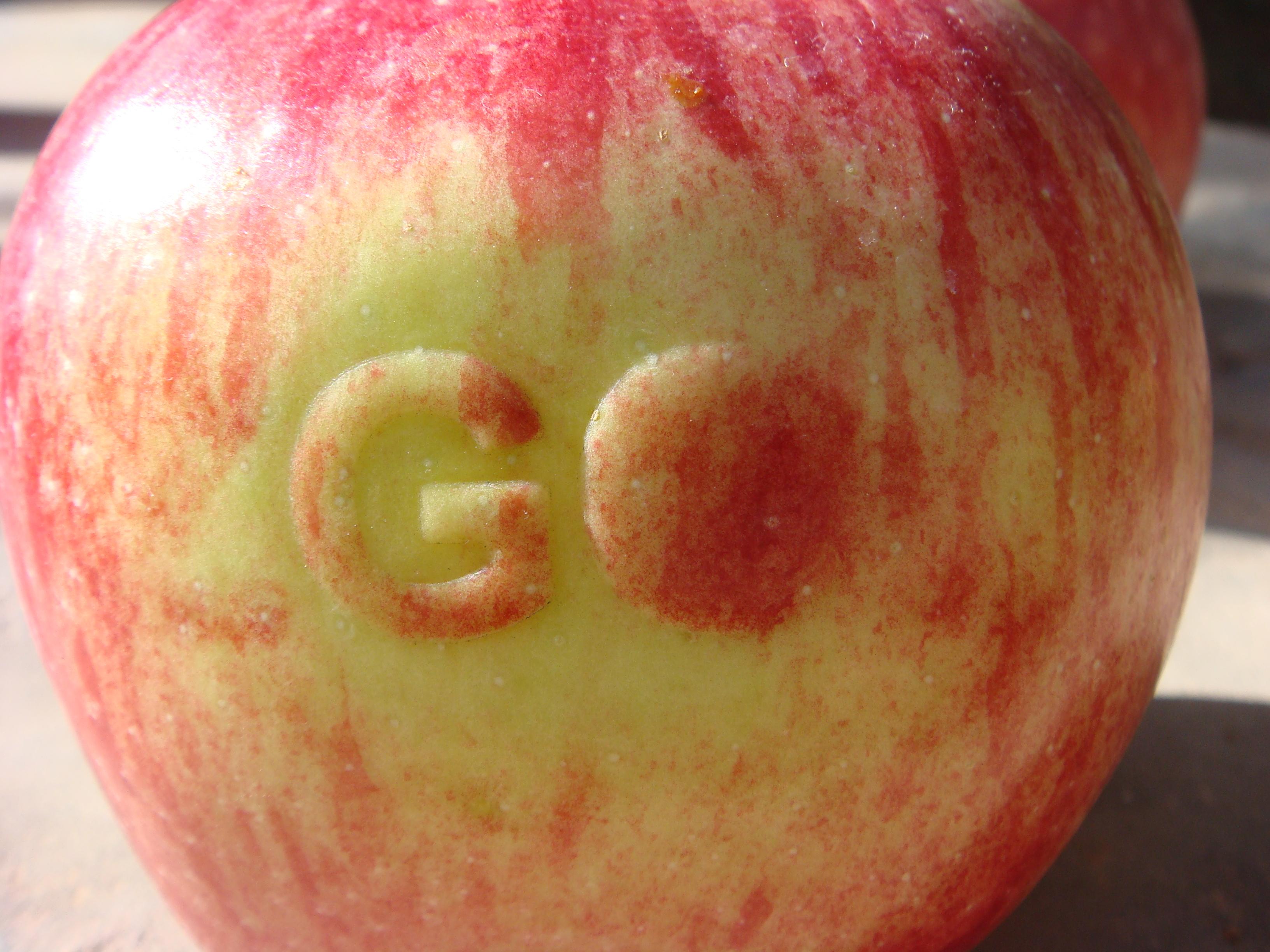Apple with GO logo on the peel